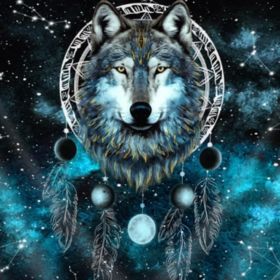 #4 Wolf Moon Phase Tapestry