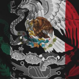 #4 Mexican Flag Tapestry